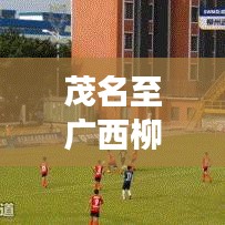 三人成虎