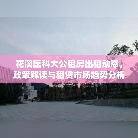 花溪医科大公租房出租动态，政策解读与租赁市场趋势分析