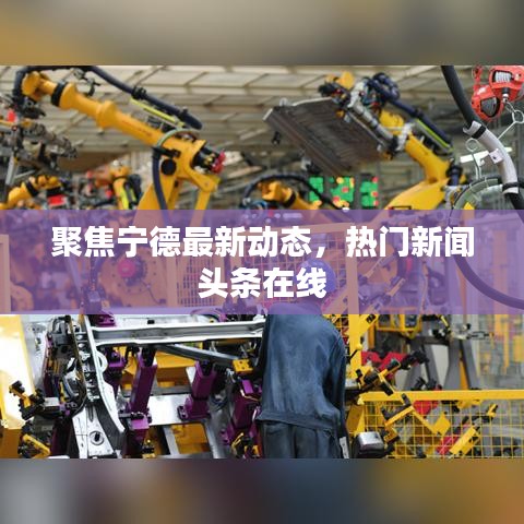聚焦宁德最新动态，热门新闻头条在线