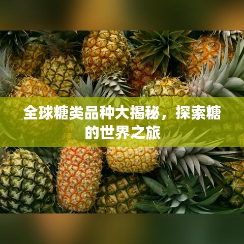 全球糖类品种大揭秘，探索糖的世界之旅