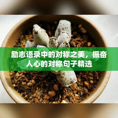 焚膏继晷