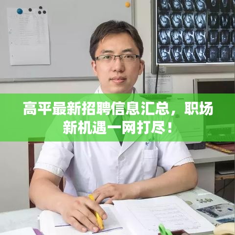 高平最新招聘信息汇总，职场新机遇一网打尽！