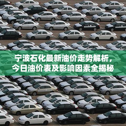 宁波石化最新油价走势解析，今日油价表及影响因素全揭秘