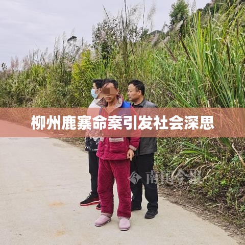 柳州鹿寨命案引发社会深思