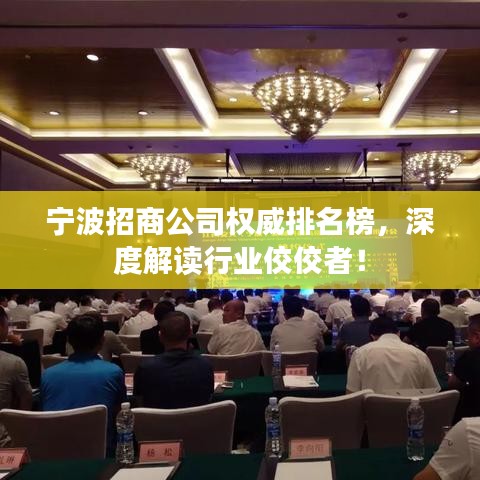 宁波招商公司权威排名榜，深度解读行业佼佼者！