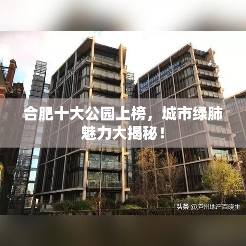 合肥十大公园上榜，城市绿肺魅力大揭秘！