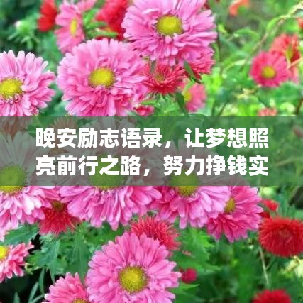 晚安励志语录，让梦想照亮前行之路，努力挣钱实现人生价值