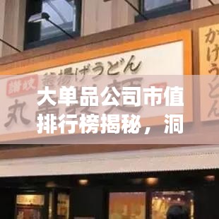 大单品公司市值排行榜揭秘，洞悉市场力量的分布格局