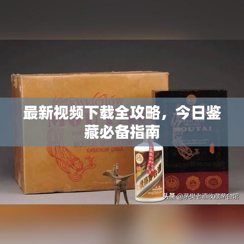 最新视频下载全攻略，今日鉴藏必备指南