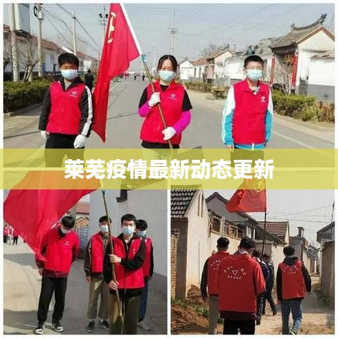 莱芜疫情最新动态更新