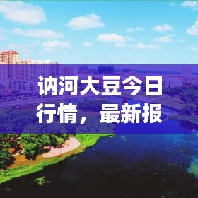 讷河大豆今日行情，最新报价、市场走势及未来展望分析