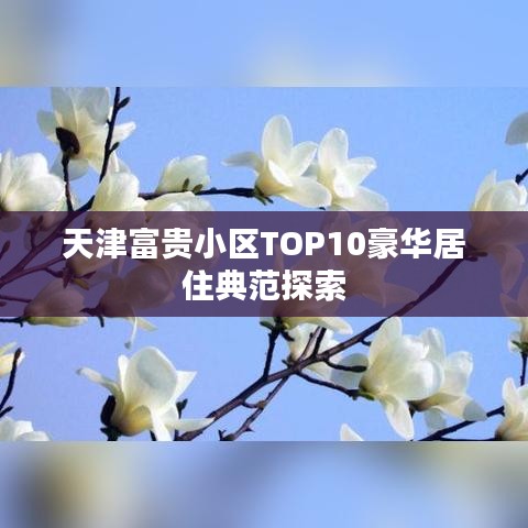 天津富贵小区TOP10豪华居住典范探索