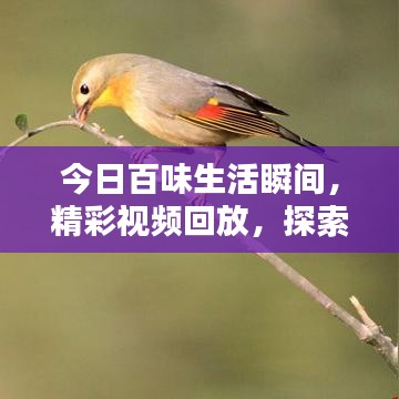 2025年6月16日 第8页