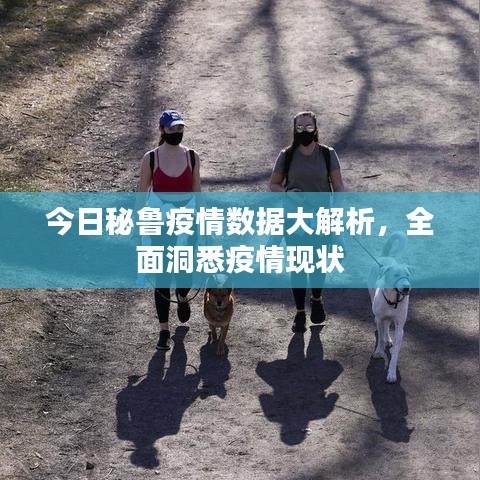 今日秘鲁疫情数据大解析，全面洞悉疫情现状