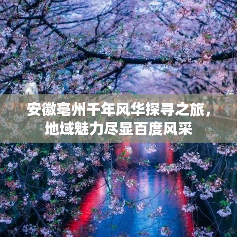 安徽亳州千年风华探寻之旅，地域魅力尽显百度风采