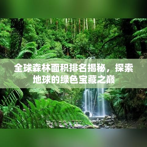 全球森林面积排名揭秘，探索地球的绿色宝藏之巅