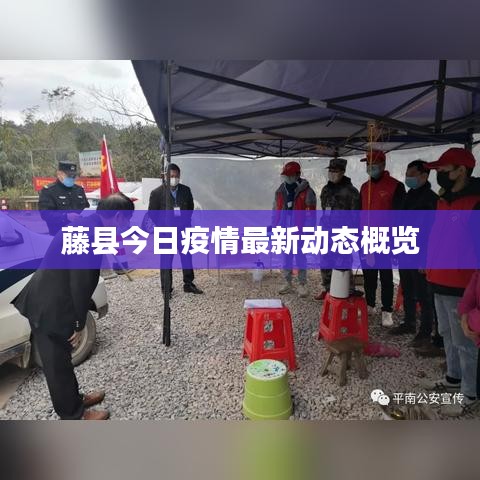 藤县今日疫情最新动态概览