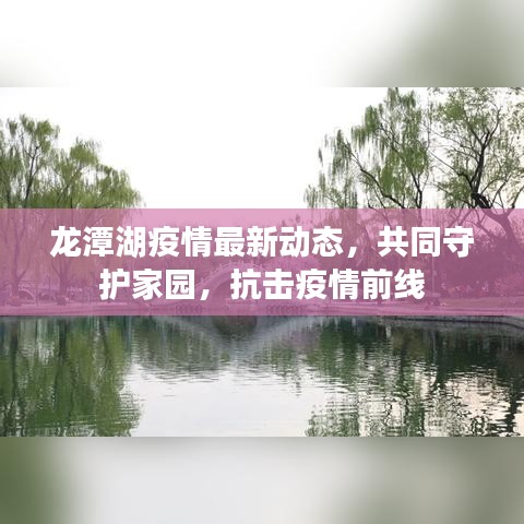 龙潭湖疫情最新动态，共同守护家园，抗击疫情前线