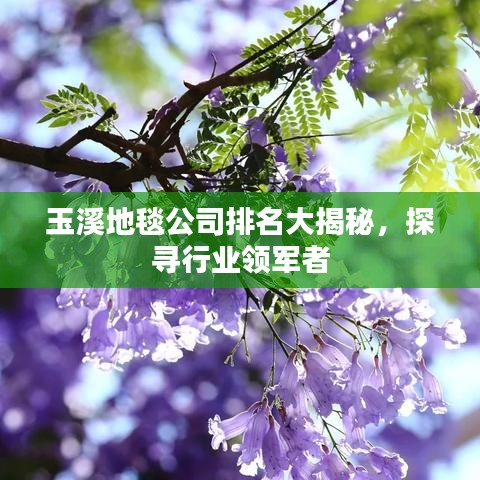 玉溪地毯公司排名大揭秘，探寻行业领军者