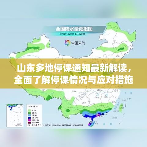 2025年6月19日 第8页