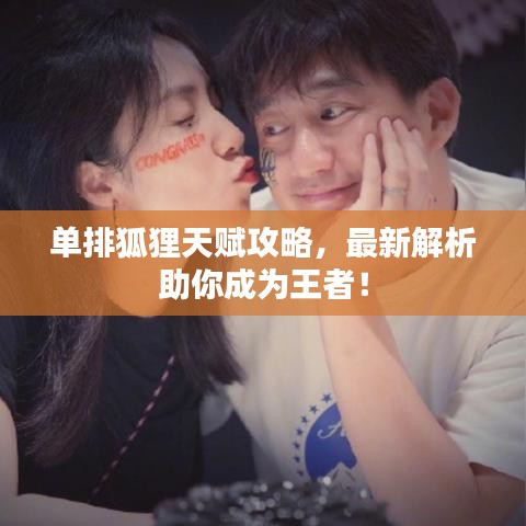 单排狐狸天赋攻略，最新解析助你成为王者！