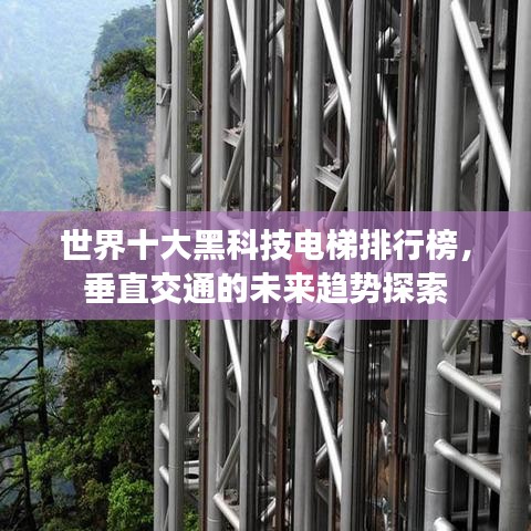 生离死别 第2页