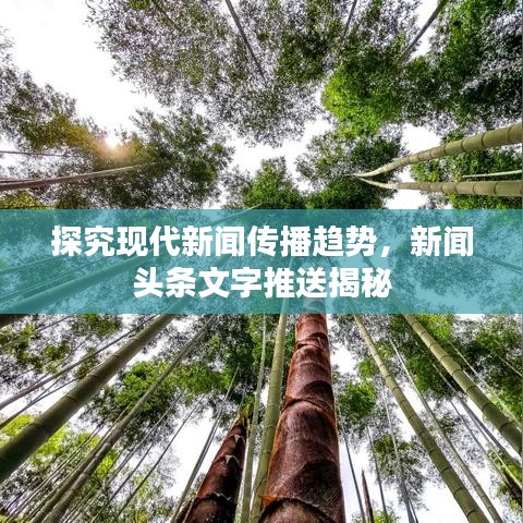 探究现代新闻传播趋势，新闻头条文字推送揭秘