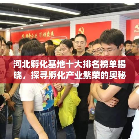 河北孵化基地十大排名榜单揭晓，探寻孵化产业繁荣的奥秘