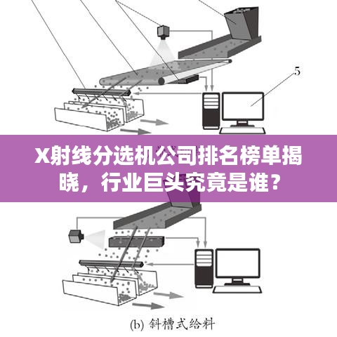 X射线分选机公司排名榜单揭晓，行业巨头究竟是谁？