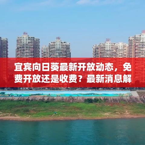 宜宾向日葵最新开放动态，免费开放还是收费？最新消息解读！