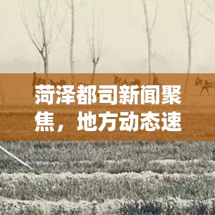 菏泽都司新闻聚焦，地方动态速递，最新资讯一网打尽