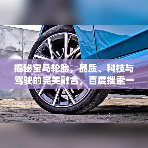 揭秘宝马轮胎，品质、科技与驾驶的完美融合，百度搜索一下开启旅程！