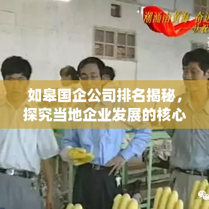 如皋国企公司排名揭秘，探究当地企业发展的核心力量