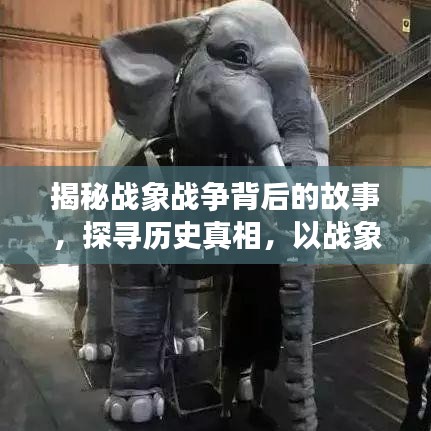 揭秘战象战争背后的故事，探寻历史真相，以战象视频为线索重温战火岁月