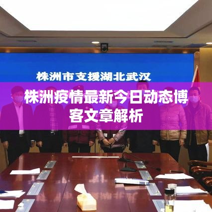株洲疫情最新今日动态博客文章解析