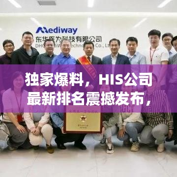 独家爆料，HIS公司最新排名震撼发布，行业格局巨变！