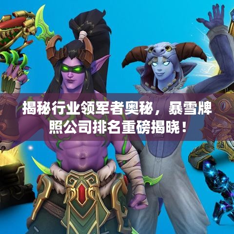 揭秘行业领军者奥秘，暴雪牌照公司排名重磅揭晓！