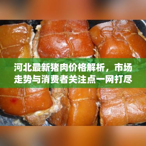 河北最新猪肉价格解析，市场走势与消费者关注点一网打尽！
