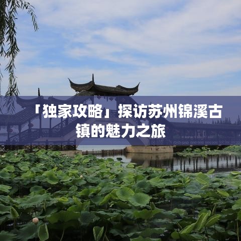 2025年6月26日 第28页