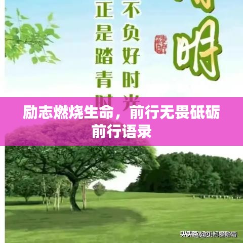 励志燃烧生命，前行无畏砥砺前行语录