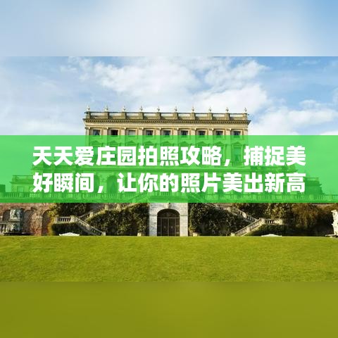 天天爱庄园拍照攻略，捕捉美好瞬间，让你的照片美出新高度！
