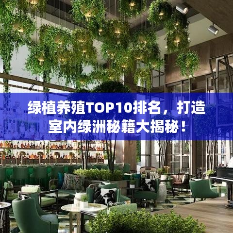 绿植养殖TOP10排名，打造室内绿洲秘籍大揭秘！