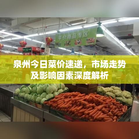 2025年6月27日 第5页
