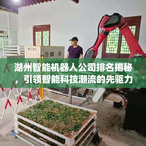 湖州智能机器人公司排名揭秘，引领智能科技潮流的先驱力量探索