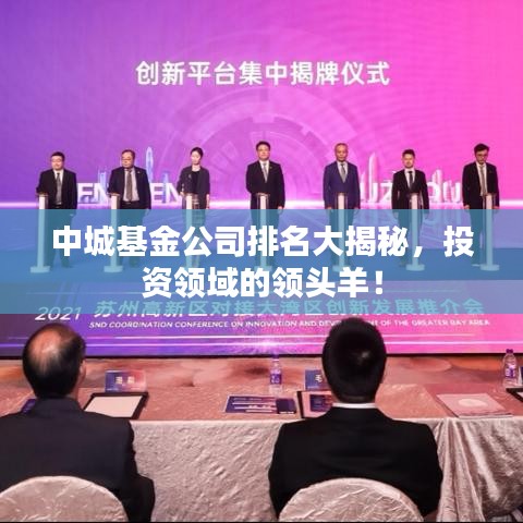 中城基金公司排名大揭秘，投资领域的领头羊！