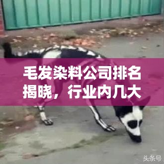 毛发染料公司排名揭晓，行业内几大巨头引领潮流