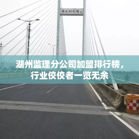 湖州监理分公司加盟排行榜，行业佼佼者一览无余