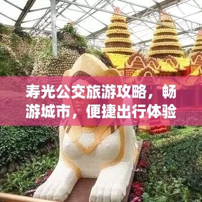 寿光公交旅游攻略，畅游城市，便捷出行体验