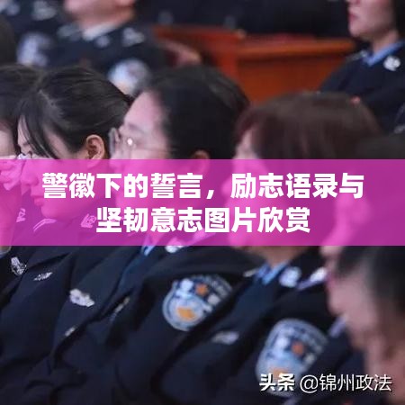 警徽下的誓言，励志语录与坚韧意志图片欣赏