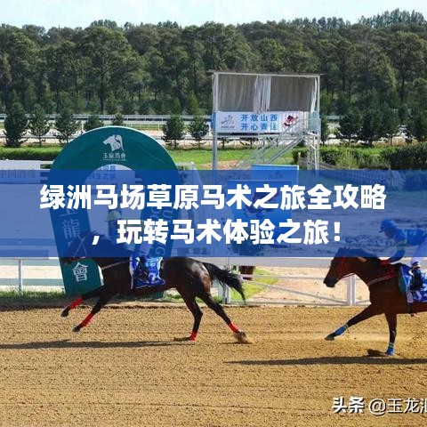 绿洲马场草原马术之旅全攻略，玩转马术体验之旅！